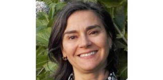 Como se fosse hoje Gazeta das Caldas