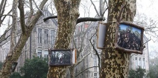 Fotografias gigantes decoram plátanos do Parque D. Carlos I Gazeta das Caldas