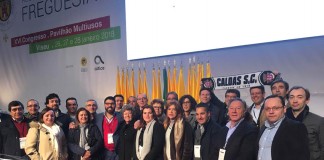 ANAFRE - Gazeta das Caldas