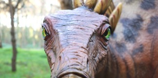 Dino Parque -Gazeta das Caldas