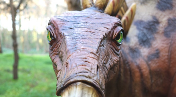 Dino Parque lança campanha para residentes no Oeste Dino Parque -Gazeta das Caldas