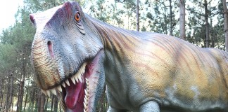 Abre hoje o parque dos dinossauros da Lourinhã Dino Parque - Gazeta das Caldas