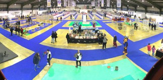 Animália: 2000 animais dentro da Expoeste Gazeta das Caldas - Animália