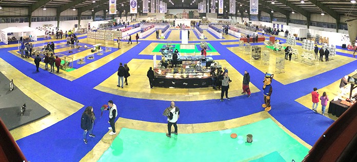 Animália: 2000 animais dentro da Expoeste Gazeta das Caldas - Animália