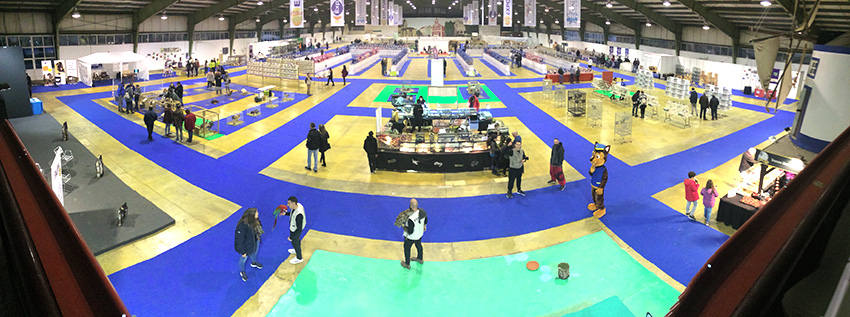 Gazeta das Caldas - Animália