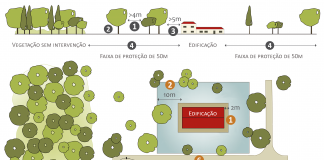 Proprietários de terrenos florestais devem limpá-los até 15 de Março Gazeta das Caldas