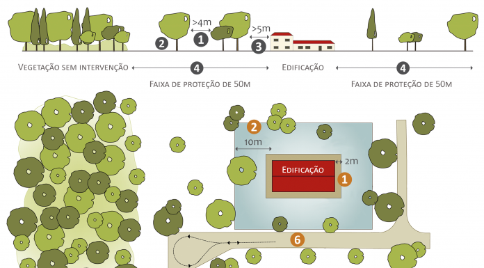 Proprietários de terrenos florestais devem limpá-los até 15 de Março Gazeta das Caldas