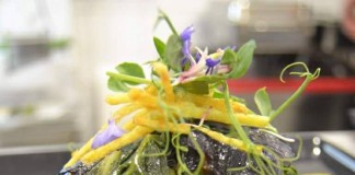 Gazeta das Caldas - Tronchuda