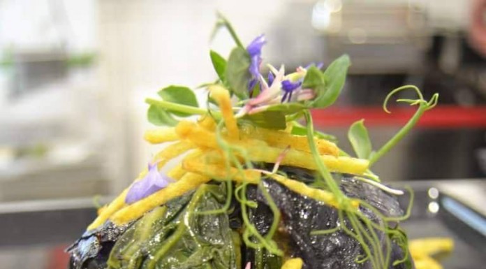 Apresentada a Tronchuda, um novo prato típico da gastronomia caldense Gazeta das Caldas - Tronchuda