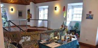 Arte a partir de resíduos na Galeria do Pelourinho