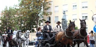 Associação de Criadores de Puro Sangue Lusitano tem nova direcção