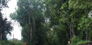 Muro da Mata intervencionado por risco de derrocada Gazeta das Cadas - Mata