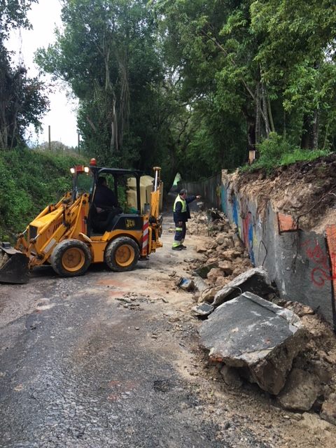 Gazeta das Cadas - Mata