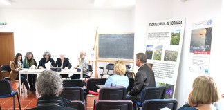 Gazeta das Caldas - Paul Tornada