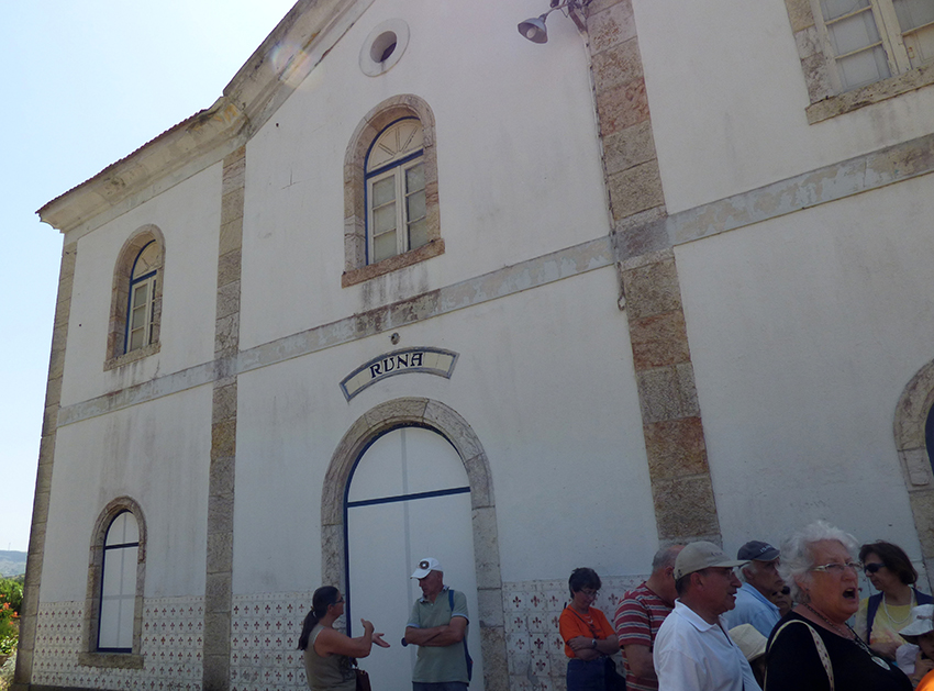 Torres Vedras promoveu debate sobre modernização da linha do Oeste