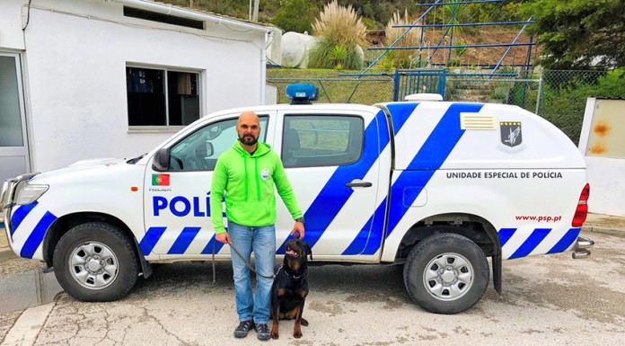 Oeste Dog Camp acreditada para treino de cães de raças perigosas