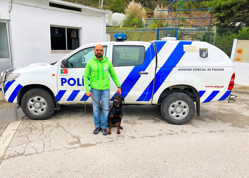 Oeste Dog Camp acreditada para treino de cães de raças perigosas