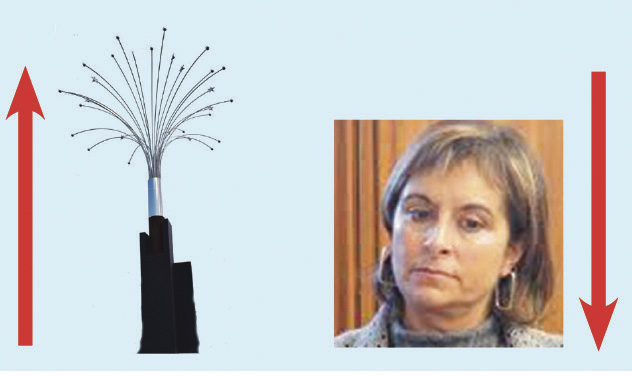 A Semana do Zé Povinho | 30-03-2018