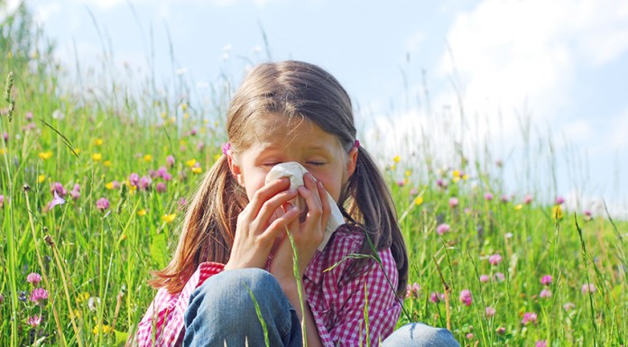 Saúde em Ponto Pequeno Primavera e Alergias