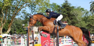 Festival Oeste Lusitano 2018