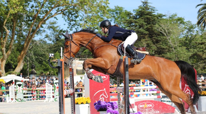 Oeste Lusitano 2018 feito em exclusivo com “prata da casa” Festival Oeste Lusitano 2018