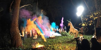 Spot televisivo do Cavalo Lusitano foi filmado na mata Gazeta das Caldas