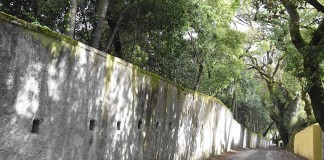 Segurar o muro da Mata custa 80 mil euros e implica o abate de algumas árvores Muro da Mata Rainha D. Leonor