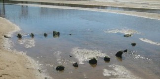 Concelho das Caldas tem 23 novos sítios arqueológicos