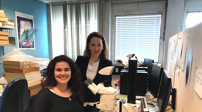 Duas caldenses no Museu de História Natural da Dinamarca As caldenses Rita Eusébio e Sofia Reboleira