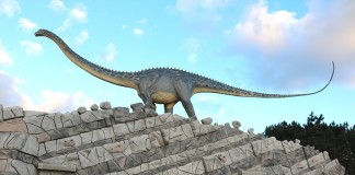 Parque dos Dinossauros da Lourinhã recebeu 50 mil visitantes em dois meses Parque dos Dinossauros, Lourinhã