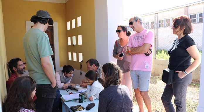 Anilhagem de aves no Paul de Tornada Gazeta das Caldas