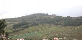 Santa Catarina tem um castro que tem muita História por contar Gazeta das Caldas