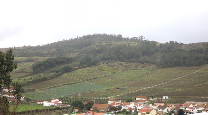 Santa Catarina tem um castro que tem muita História por contar Gazeta das Caldas