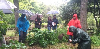 Chuva não afastou geocachers da missão ambiental geocachers da missão ambiental