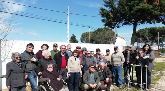 Conselho da Cidade vai plantar 100 amieiros e salgueiros Conselho da Cidade
