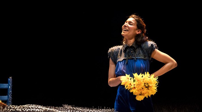 Actriz caldense no palco e nas salas de cinema Atriz Caldense - Isabel Costa