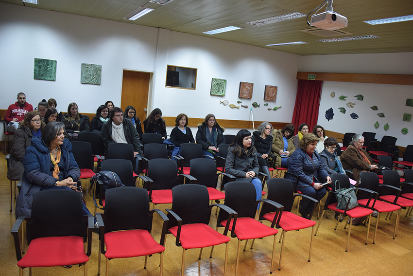 Ferreira da Silva - Formação