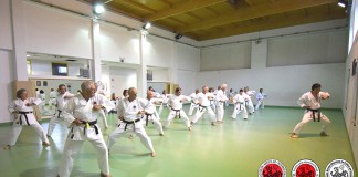 40 anos de Shotokan Karate-Do em Caldas da Rainha Gazeta das Caldas