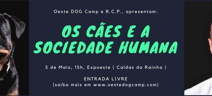 Os Cães e a Sociedade Humana na Expoeste Gazeta das Caldas