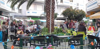 Festa da flor no Bairro Azul Gazeta das Caldas