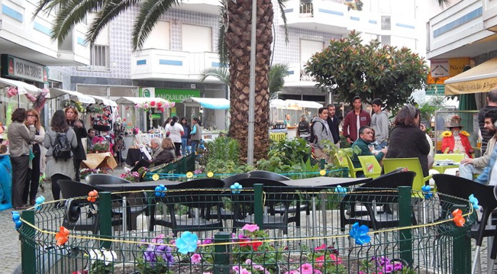 Festa da flor no Bairro Azul Gazeta das Caldas