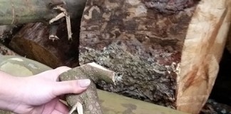 CEERDL foi um dos vencedores do Prémio Fidelidade Gazeta das Caldas