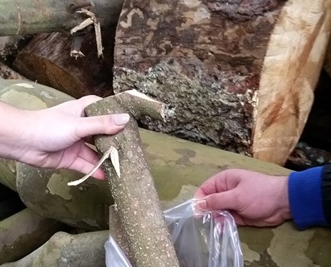 CEERDL foi um dos vencedores do Prémio Fidelidade Gazeta das Caldas