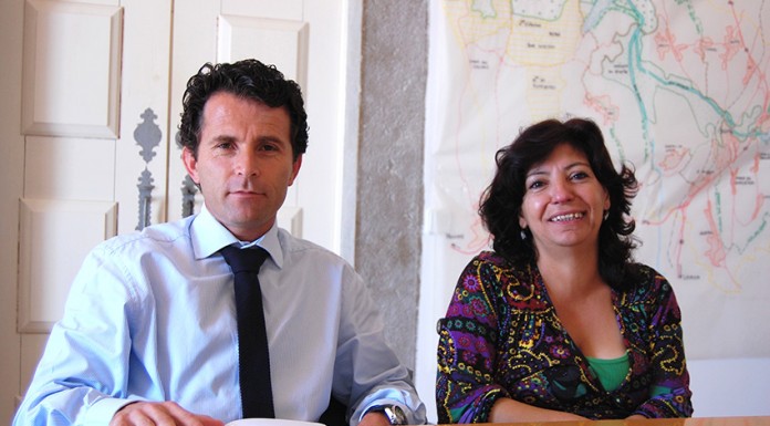 Celeste Afonso demite-se do Fólio e regressa à escola