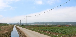 Adjudicada primeira fase da modernização do regadio da Cela Gazeta das Caldas
