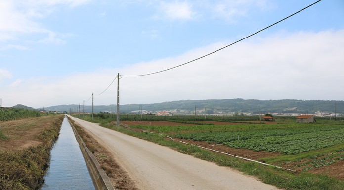 Adjudicada primeira fase da modernização do regadio da Cela Gazeta das Caldas