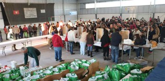 Há crescimento económico mas pedidos de ajuda quase não diminuíram Há crescimento económico mas pedidos de ajuda quase não diminuíram - Gazeta das Caldas