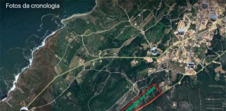 Matilha de cães perseguia ciclistas perto de Salir do Porto Matilha de cães perseguia ciclistas perto de Salir do Porto - Gazeta das Caldas