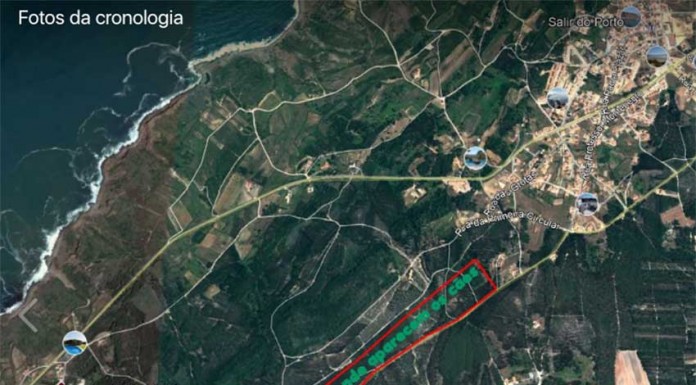 Matilha de cães perseguia ciclistas perto de Salir do Porto Matilha de cães perseguia ciclistas perto de Salir do Porto - Gazeta das Caldas