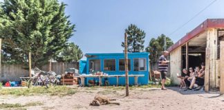 Open Day foi um dia positivo para a CRAPAA Gazeta das Caldas